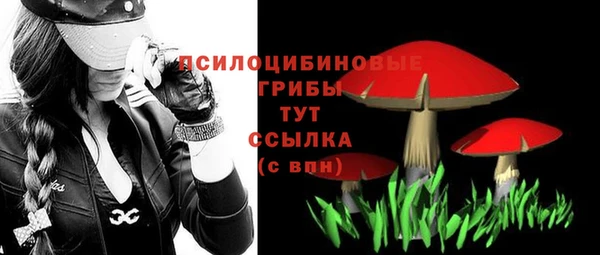 прущая мука Осташков