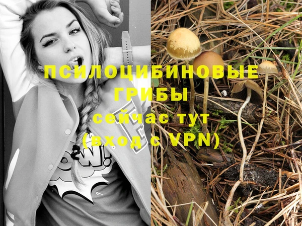 крисы Нягань