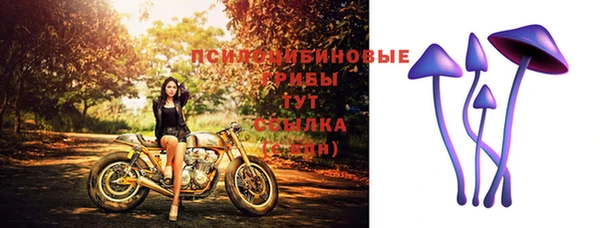 кристаллы Осинники