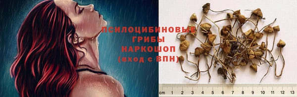 кристаллы Осинники
